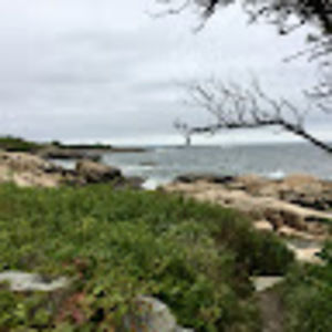 Meet your Posher, Robin